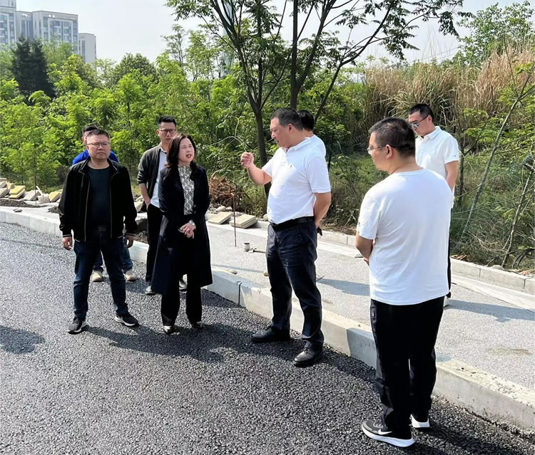 經(jīng)開區(qū)開展市政設(shè)施設(shè)備安全大檢查、大排查、大整治