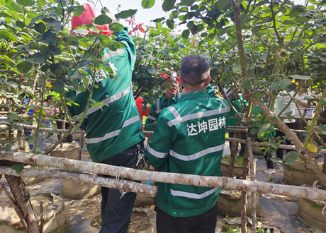 經(jīng)開(kāi)區(qū)組隊(duì)參加全市首屆園林技能比武大賽獲優(yōu)秀獎(jiǎng)