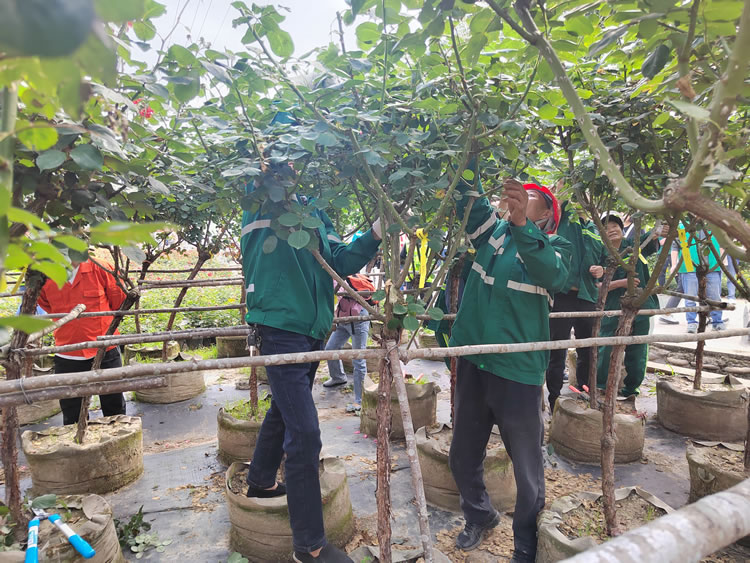 經(jīng)開區(qū)組隊(duì)參加全市首屆園林技能比武大賽獲優(yōu)秀獎(jiǎng)